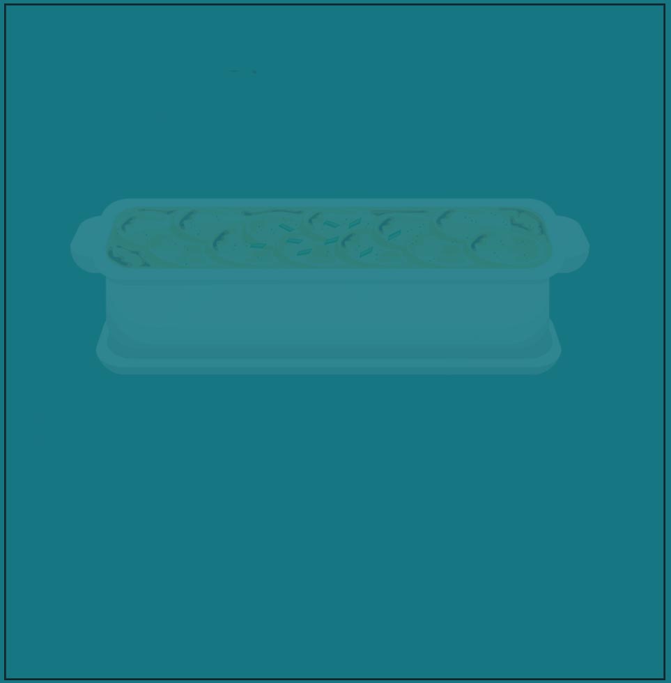 Le Gratin de Saint Jo . Le plat du Chef